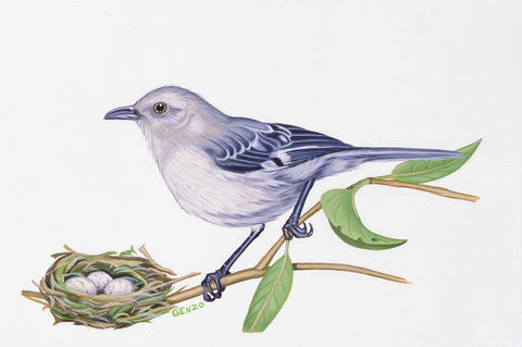 Song Bird with nest